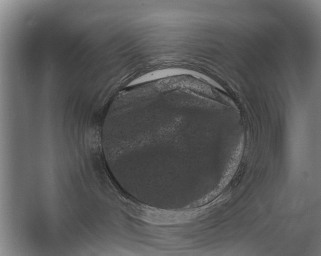 X0000062630048200601041042