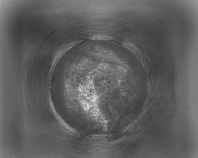 X0000062630049200601041042