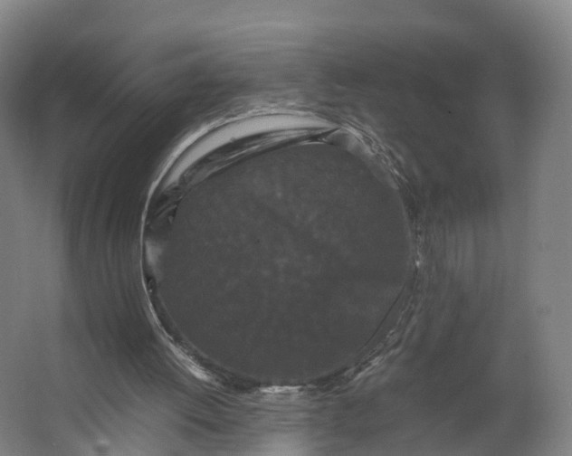 X0000062630052200601041042