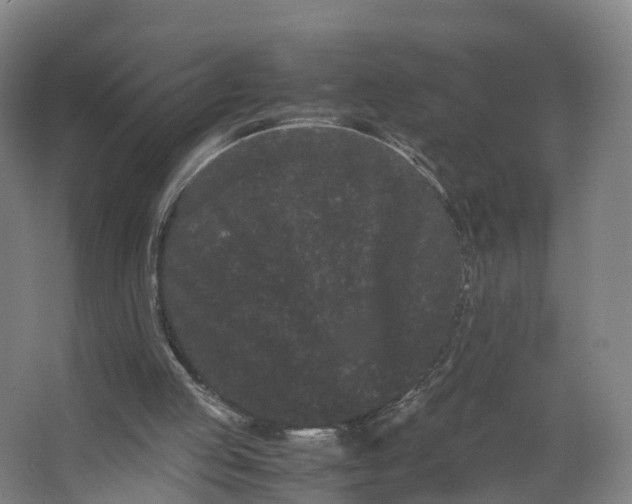 X0000062630053200601041042