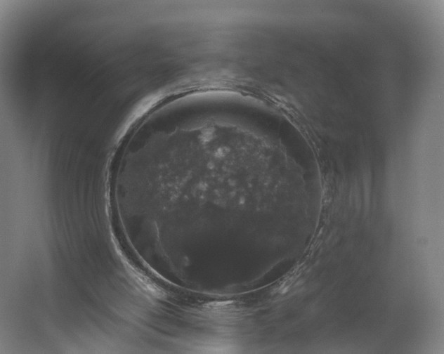 X0000062630054200601041042