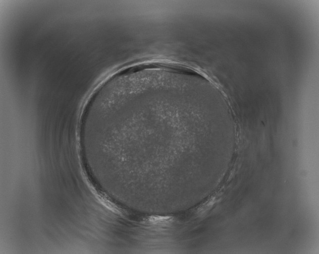 X0000062630055200601041042