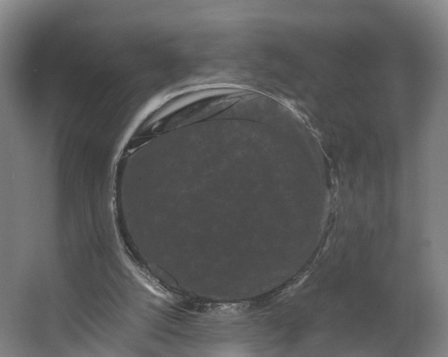 X0000062630056200601041042