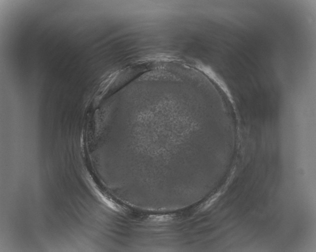 X0000062630057200601041042