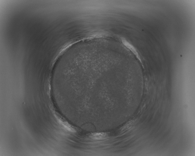 X0000062630059200601041042