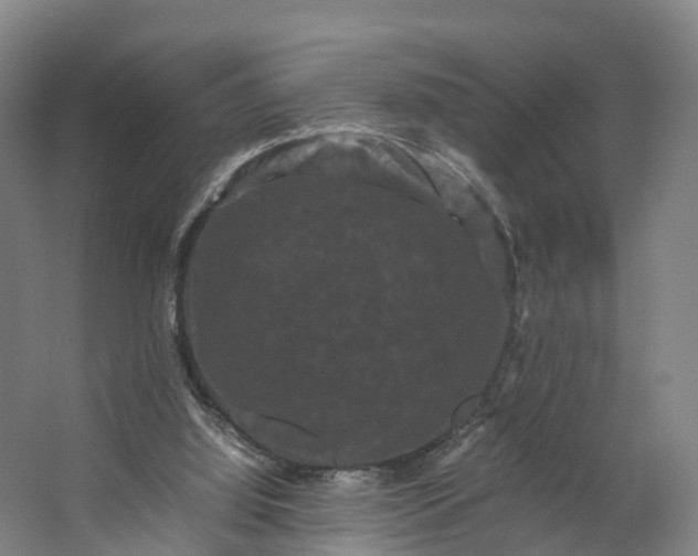 X0000062630060200601041042