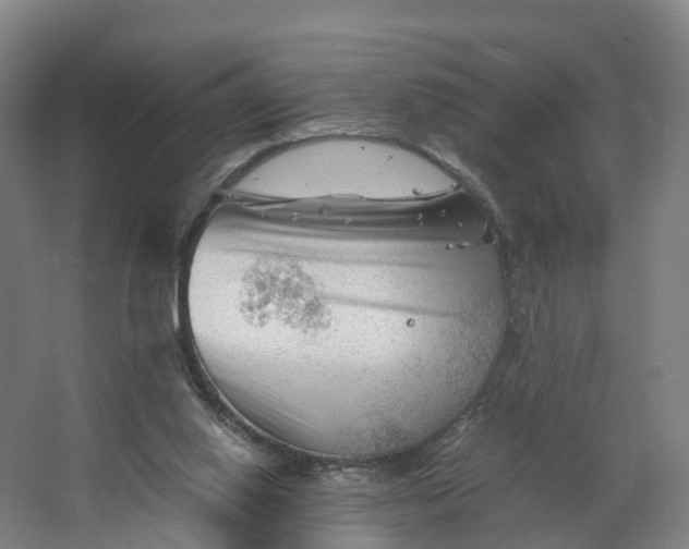 X0000062630062200601041042