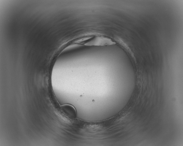 X0000062630063200601041042