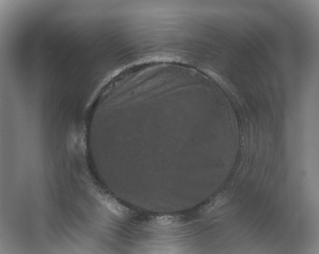 X0000062630064200601041042