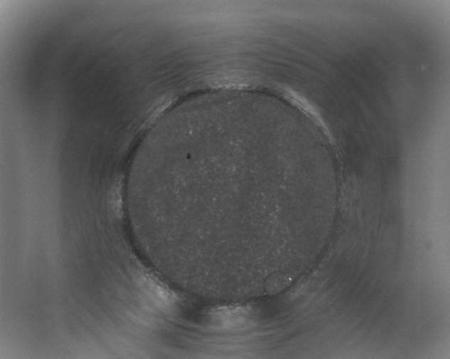 X0000062630065200601041042