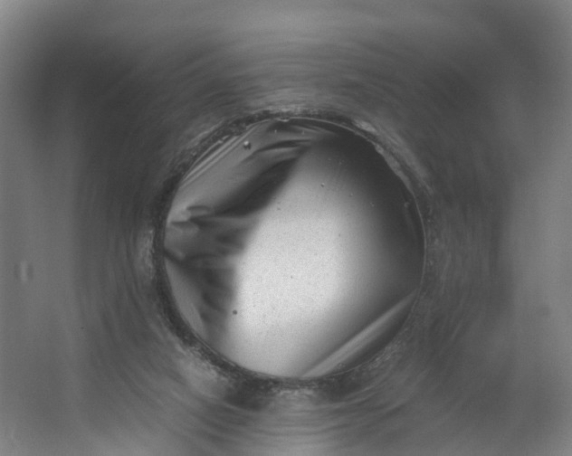 X0000062630066200601041042