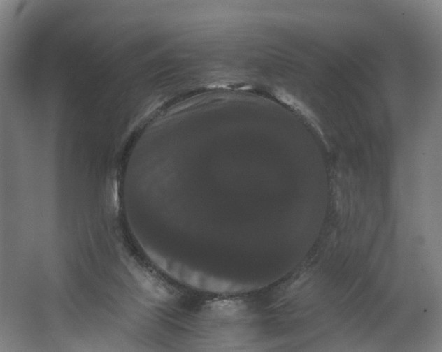 X0000062630067200601041042