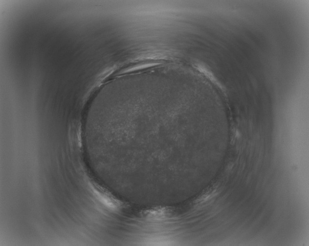 X0000062630068200601041042