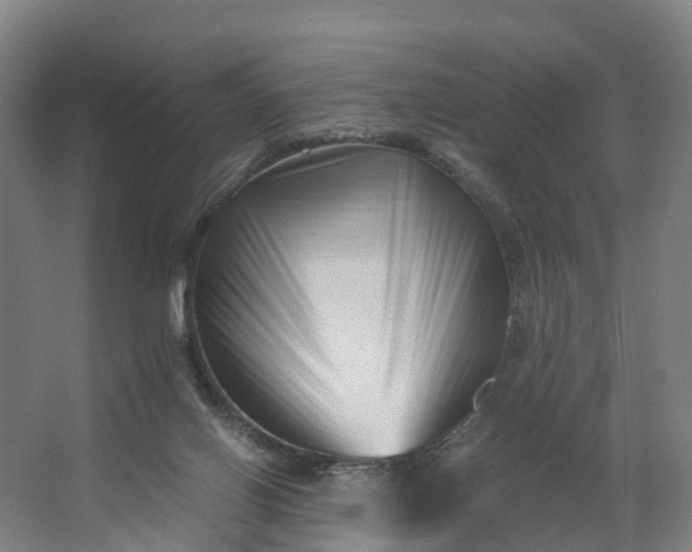 X0000062630070200601041042