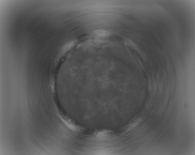 X0000062630072200601041042