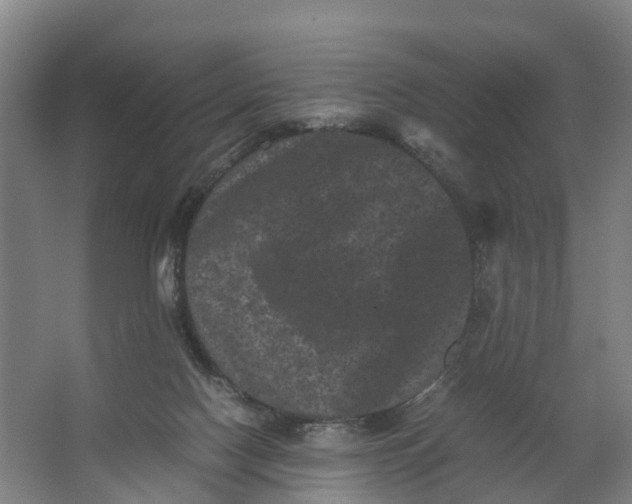 X0000062630074200601041042