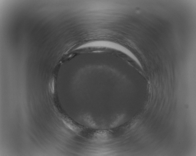 X0000062630076200601041042