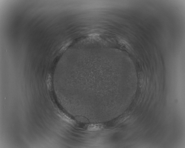 X0000062630077200601041042