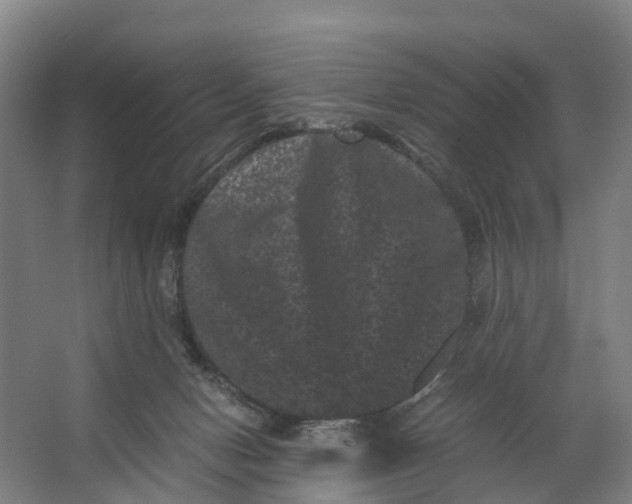 X0000062630078200601041042