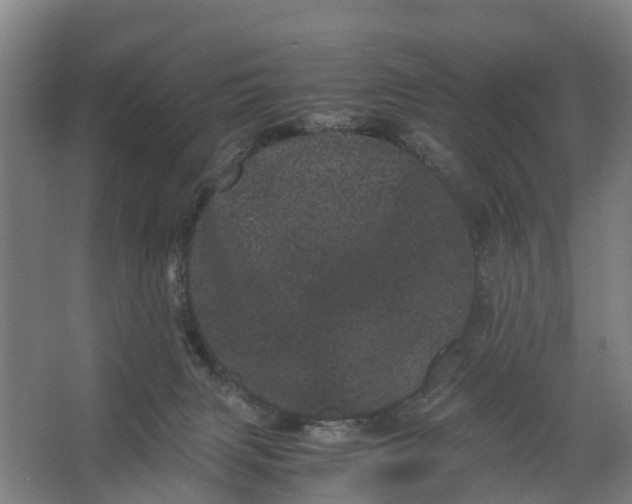 X0000062630079200601041042