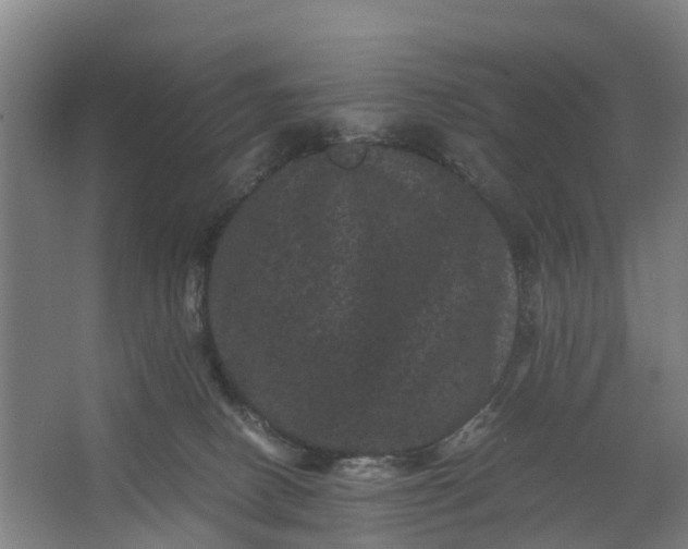 X0000062630082200601041042