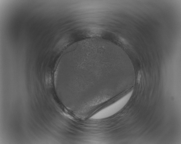 X0000062630084200601041042