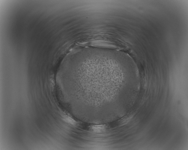 X0000062630085200601041042