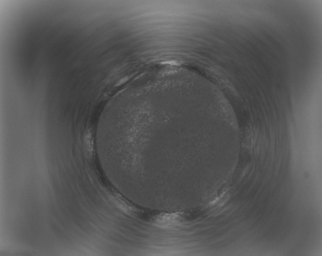 X0000062630086200601041042