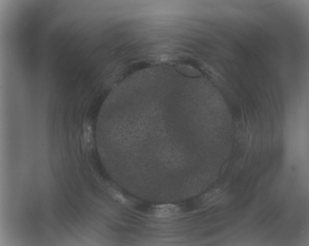 X0000062630087200601041042