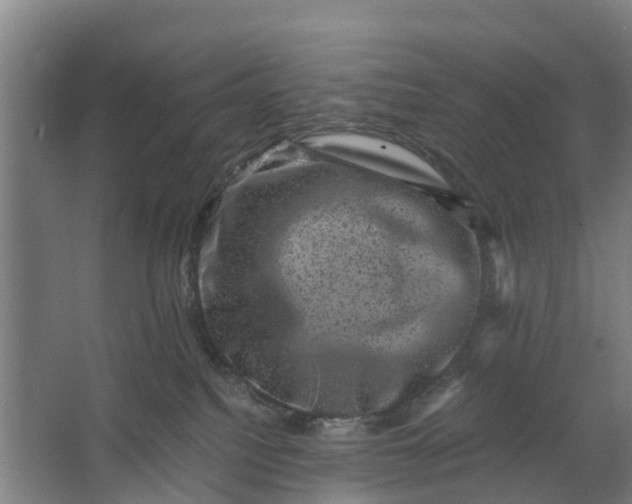 X0000062630088200601041042