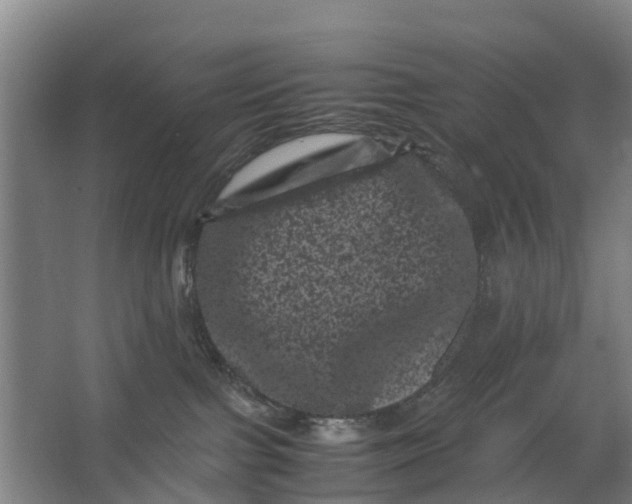 X0000062630091200601041042