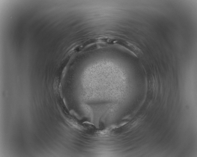 X0000062630092200601041042