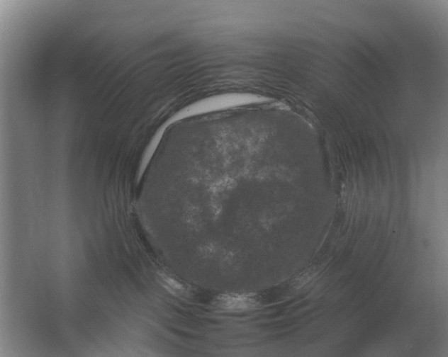 X0000062630093200601041042