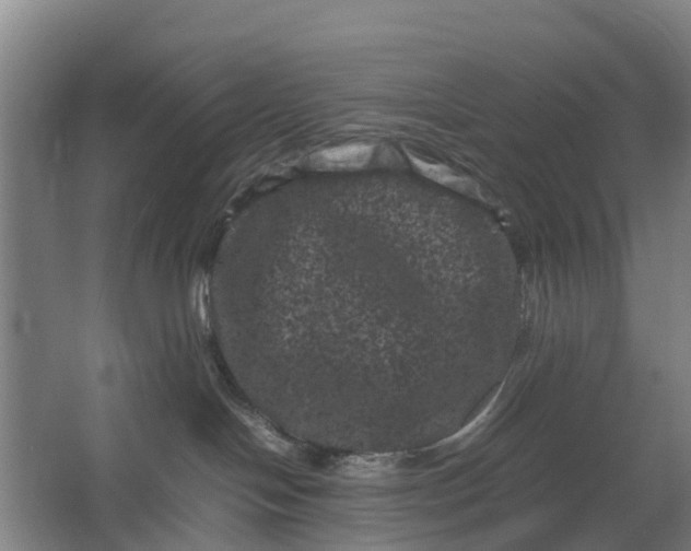 X0000062630094200601041042