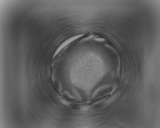 X0000062630096200601041042