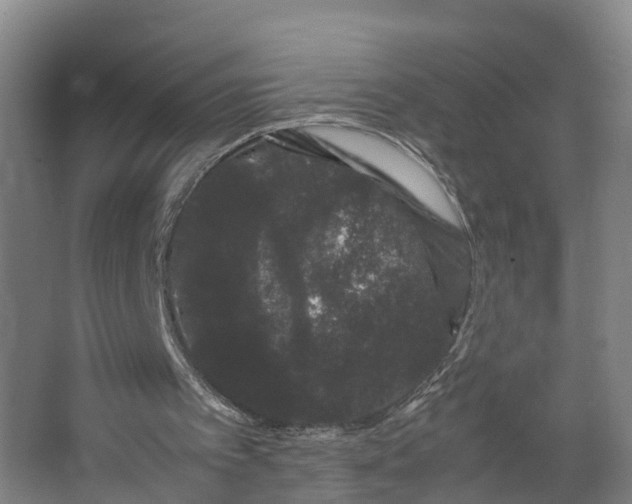 X0000062630097200601041041