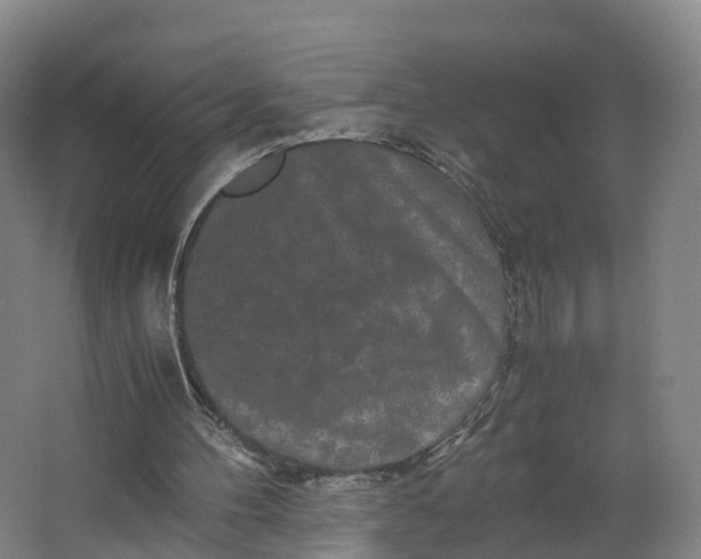 X0000062630100200601041041