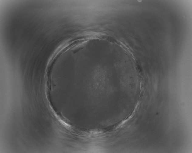 X0000062630101200601041041