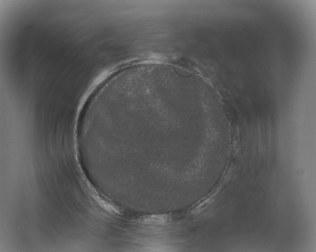 X0000062630102200601041041