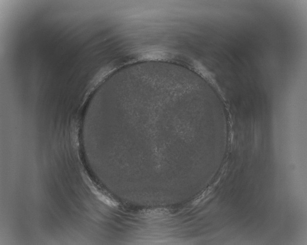 X0000062630106200601041041