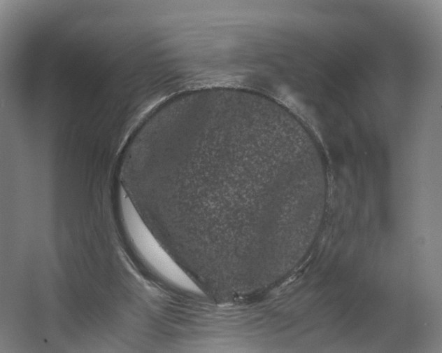 X0000062630107200601041041