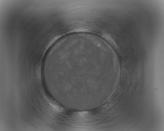 X0000062630108200601041041