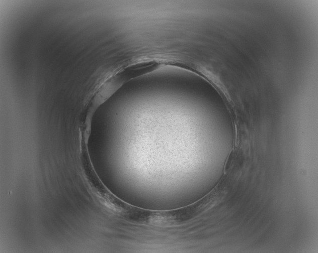 X0000062630109200601041041