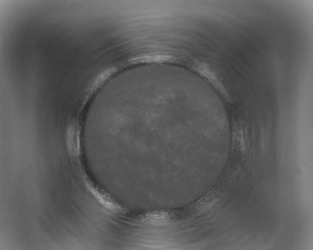 X0000062630110200601041041