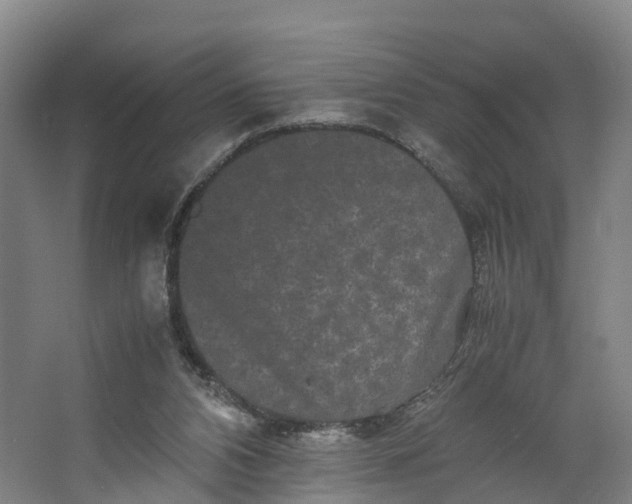 X0000062630112200601041041