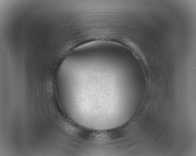 X0000062630113200601041041