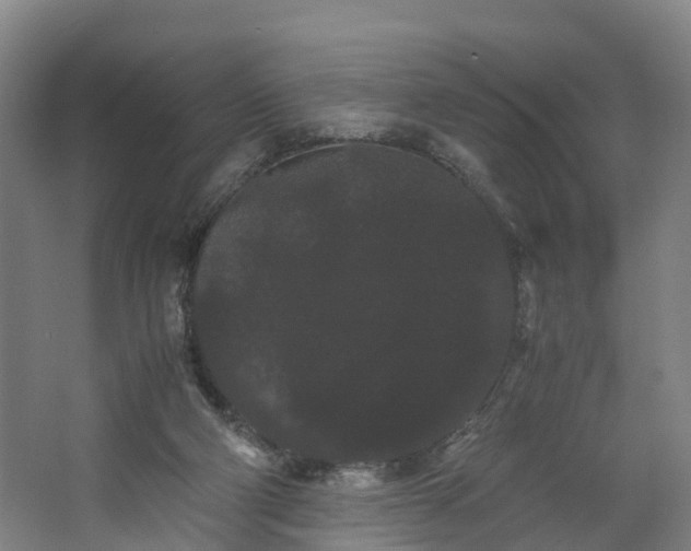 X0000062630114200601041041