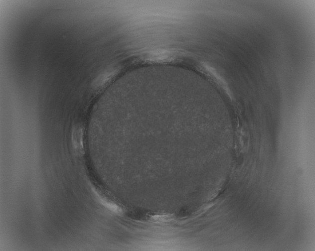 X0000062630115200601041041