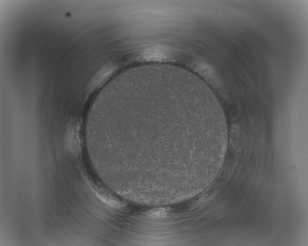 X0000062630116200601041041