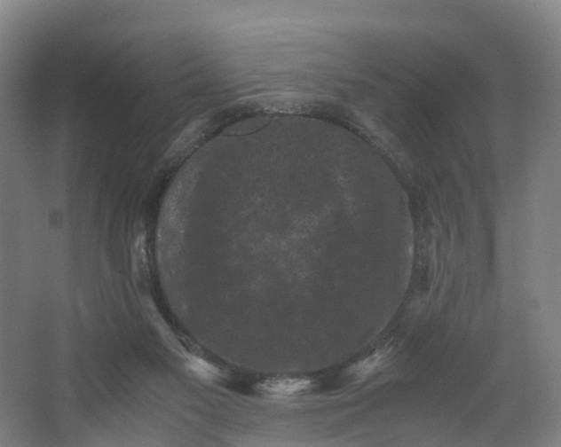 X0000062630117200601041041